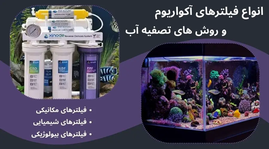 انواع فیلترهای آکواریوم و روش های تصفیه آب